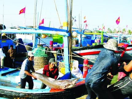 Phát triển bền vững biển, đảo Việt Nam Cần nhân rộng mô hình tổ, đội đoàn kết sản xuất trên biển